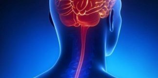Espírito Santo já tem mais casos de meningite do que em 2016