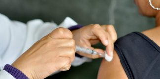 Surto de febre amarela pode voltar ao Espírito Santo? Saiba como está a situação