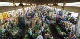 Comercialização na Ceasa/ES cresce 24,6% em 2017