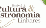 Banner-Site-728×90-Festival