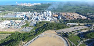 Suzano anuncia planos de investir R$ 6,4 bilhões em 2019