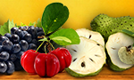 BANNER_SITE_FRUTICULTURA_728x90