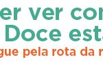 728x90_geral