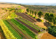 Termina hoje (30) prazo de entrega da declaração do ITR