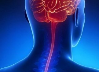 Espírito Santo já tem mais casos de meningite do que em 2016