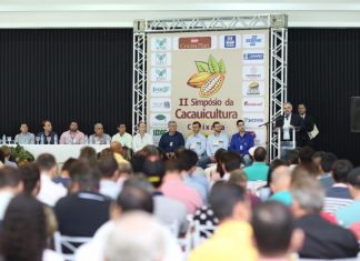 II Simpósio da Cacauicultura Capixaba tem início com destaque para ações de renovação da lavoura