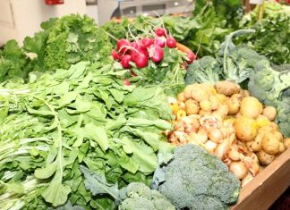 Feira Agroecológica do Shopping Boulevard da Praia é inaugurada