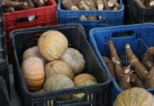 Circuito rural movimenta ExpoAgro Vidas em Aracruz