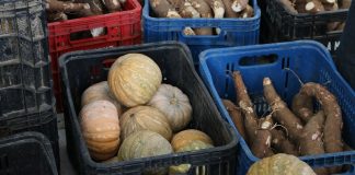 Circuito rural movimenta ExpoAgro Vidas em Aracruz