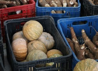 Circuito rural movimenta ExpoAgro Vidas em Aracruz