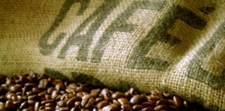 Exportação de café é a pior em três décadas no Espírito Santo