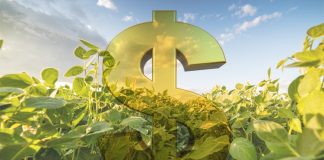 Governo libera R$ 100 milhões para o seguro rural