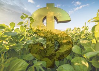 Governo libera R$ 100 milhões para o seguro rural