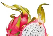 Produtores da Região Serrana do Estado apostam em frutas exóticas