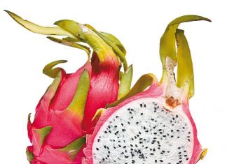 Produtores da Região Serrana do Estado apostam em frutas exóticas