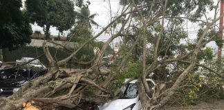 Ventania no ES derruba árvore em Cachoeiro, semáforo em Vitória, e inclina casa em Marataízes