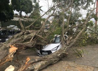 Ventania no ES derruba árvore em Cachoeiro, semáforo em Vitória, e inclina casa em Marataízes