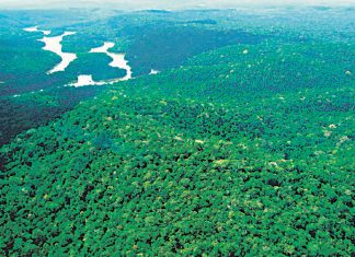 Decreto acaba com área de preservação do tamanho do Espírito Santo na Amazônia