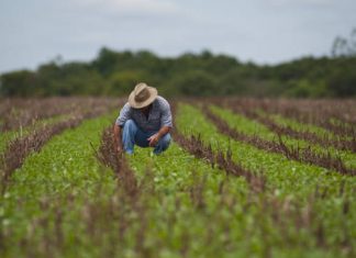 Censo Agropecuário 2017 tem início em outubro no Espírito Santo