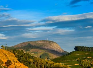 Festival do ‘Maior Café do Mundo’ agita Brejetuba a partir de quinta-feira (21)