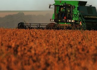 Prazo para entrega de declaração de propriedades rurais termina sexta-feira (29)