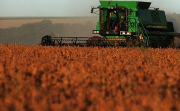 Agropecuária, consumo e indústria ganham força no 3º tri