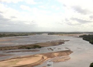 Rio Doce chega a nível crítico de água em Linhares, ES