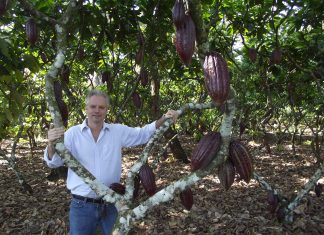 Cacau de Linhares estará presente e concorre a prêmio no Salão do Chocolate de Paris