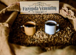 Café capixaba 100% conilon será apresentado na Semana Internacional do Café