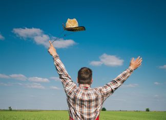 Finalistas do Prêmio Campo Vivo 2017 são divulgados