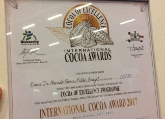 Cacau linharense é premiado entre os melhores do mundo no Salão de Chocolate de Paris