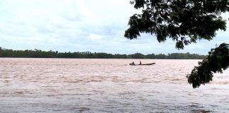 Nível do Rio Doce sobe e deixa Linhares, no ES, em estado de alerta