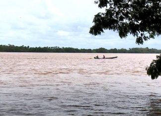 Rio Doce atinge cota de inundação em Linhares e famílias são orientadas sobre riscos de alagamento