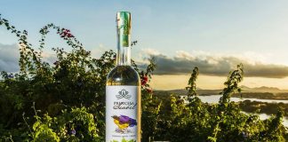 Cachaça de Linhares garante primeiro lugar entre as 50 melhores do Brasil