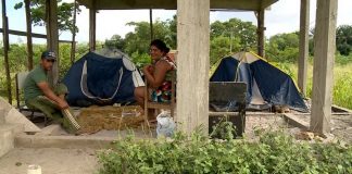 Rio Doce em Linhares ultrapassa a cota de inundação; famílias ficam desalojadas