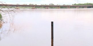 Rio Doce em Linhares está a cerca de 15 centímetros da cota de inundação