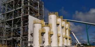 Primeira fábrica de MDF do ES começa a operar em maio com produção de 360 mil m³ ao ano