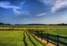 Governo do Estado busca R$ 13,9 milhões no BNDES para Cadastro Ambiental Rural