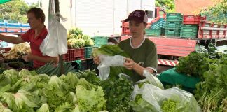 Lei que regulamenta a produção agroecológica e orgânica no ES é sancionada pelo governo