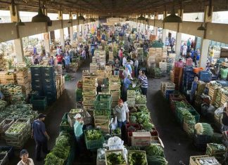 Governo do Estado dá ordem de serviço para reforma da Ceasa