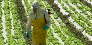 Idaf apresenta mudanças estabelecidas por novo decreto sobre o uso de defensivos agrícolas