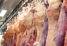 Preço da carne não vai baixar, diz ministra da Agricultura