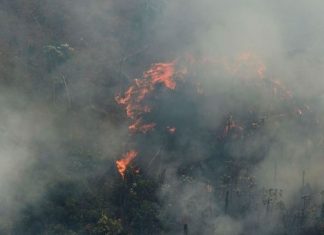 Área queimada no Brasil em 2024 é maior que todo território da Itália, aponta MapBiomas