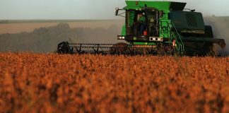 Recorde histórico deve marcar a safra de grãos com 251 milhões de toneladas