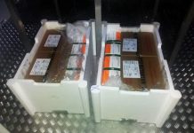 ES deve receber 600 mil doses em maio e governo espera acelerar vacinação contra a covid-19