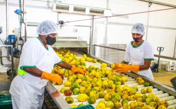 Agro Trop entrega primeira produção industrial