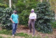 Incaper lança sistema eletrônico de avaliação de sustentabilidade da cafeicultura