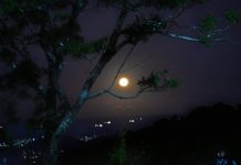 Superlua poderá ser observada nesta terça-feira