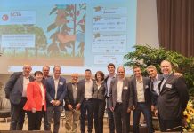 Espírito Santo faz acordo para garantir e ampliar o comércio de café na Europa