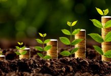 PIB cresce impulsionado pela agropecuária: setor registra alta de 11,3%